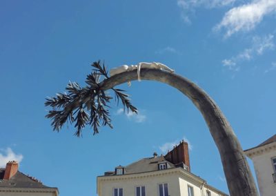 Création d’arbres fossilisés en béton sculpté pour l’artiste Laurent PERNOT