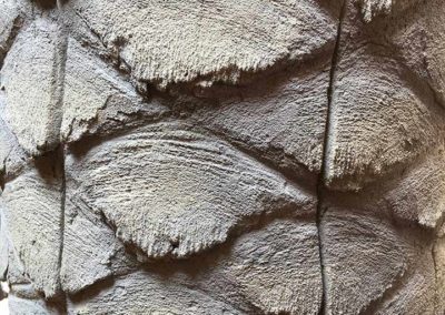 Création d’arbres fossilisés en béton sculpté pour l’artiste Laurent PERNOT