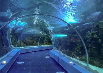 Faux décor naturel en béton pour FAKIEH Aquarium, en ARABIE-SAOUD