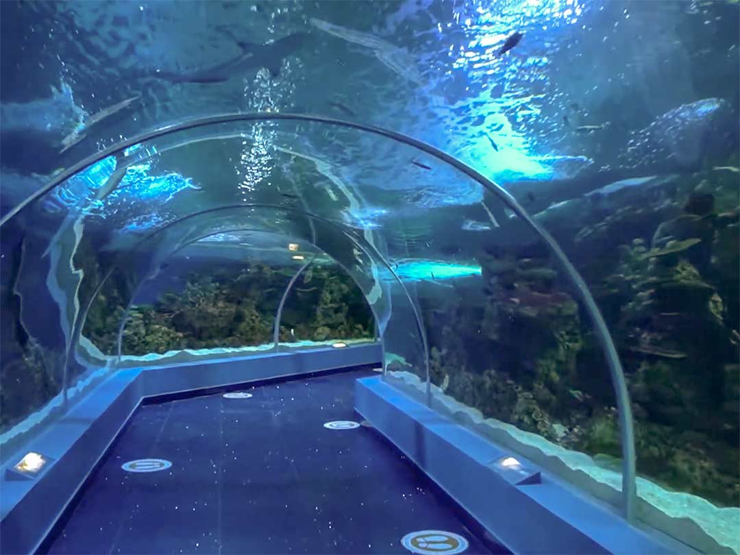 Faux décor naturel en béton pour FAKIEH Aquarium, en ARABIE-SAOUD