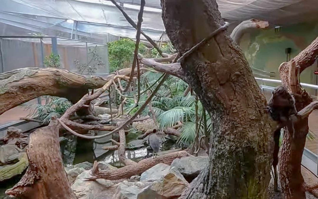 Faux arbres en mortier sculpté – BIODOME DE GRENADE