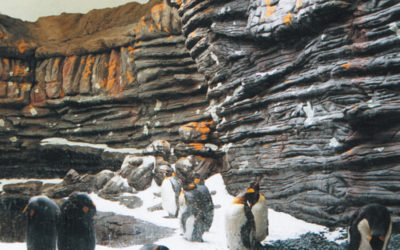 Décor polaire en béton sculpté – OCEANOPOLIS DE BREST
