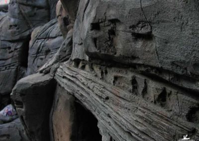 Reconstitution en béton de fonds marins pour Crétaquarium de GOURNES