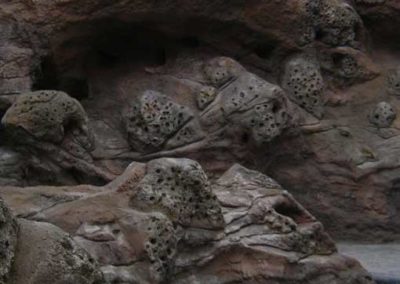 Reconstitution en béton de fonds marins pour Crétaquarium de GOURNES