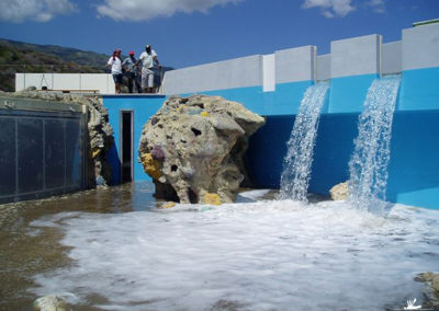 Reconstitution de décor pour les tortues marines de l’observatoire de Kélonia