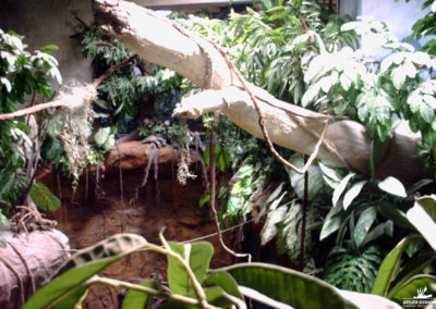 Reconstitution de décors tropicaux amazoniens pour le parc à thème FAUNIA