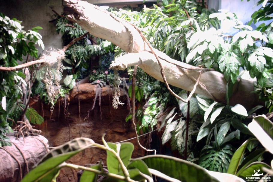 Reconstitution de décors tropicaux amazoniens pour le parc à thème FAUNIA