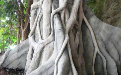 Reproduction d’une serre tropicale en béton – AQUARIUM DE LA ROCHELLE