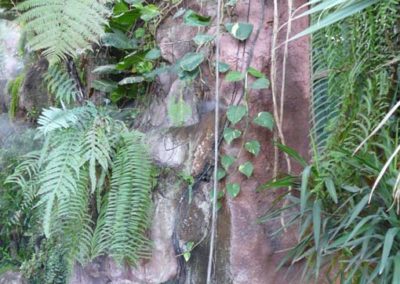 Reproduction d’une Serre tropicale en béton pour l’aquarium de La Rochelle