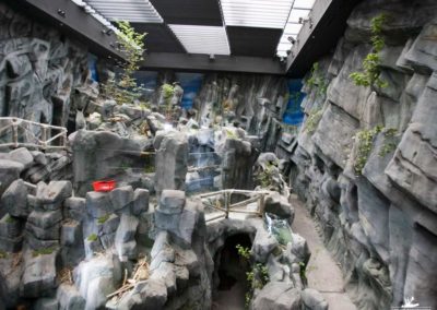 Création de décors de serre tempérée pour l’aquarium de GIJON