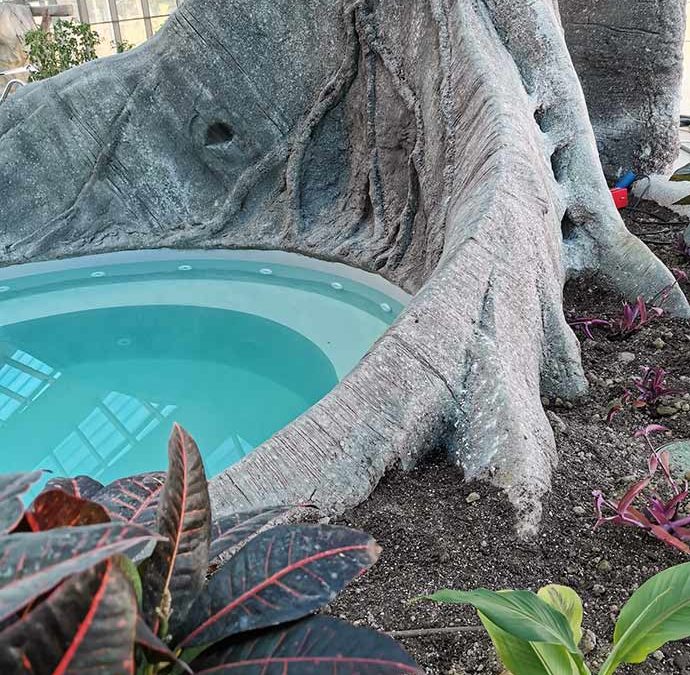 Décor tropical de piscine en béton sculpté – DOMAINE DES ORMES
