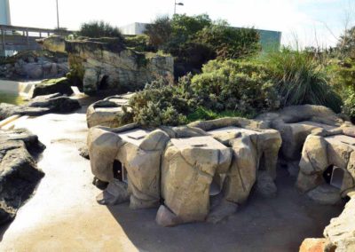 Décor de manchotière en béton projeté pour l’Océarium du CROISIC