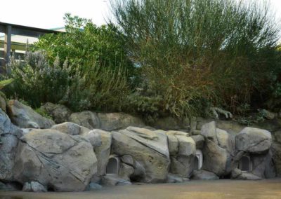 Décor de manchotière en béton projeté pour l’Océarium du CROISIC