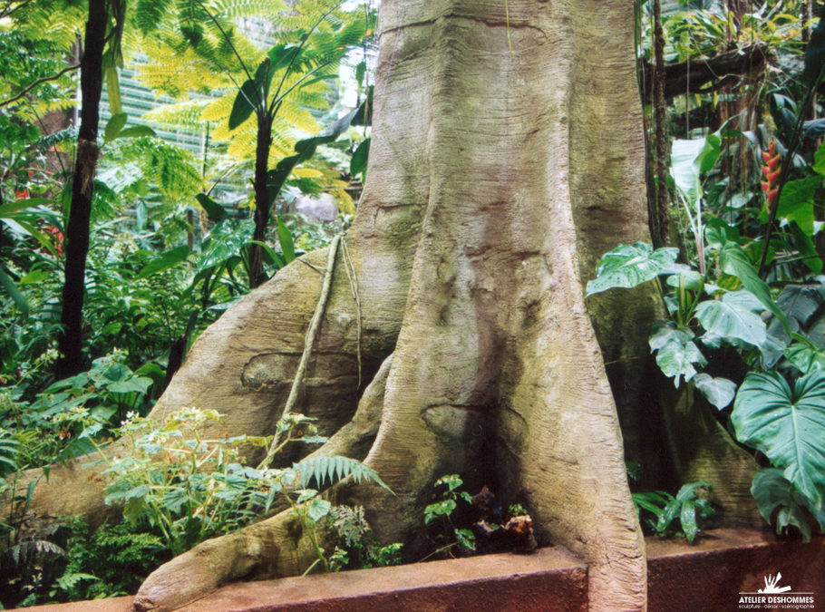 Décor en béton de serre tropicale – OCEANOPOLIS DE BREST