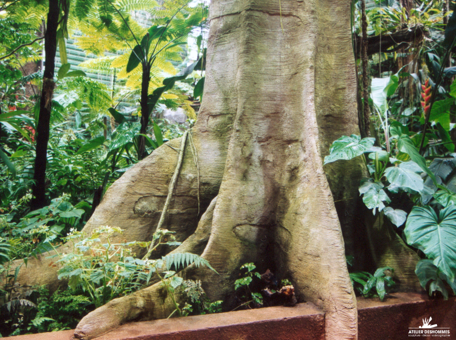decor-serre-tropicale-brest01