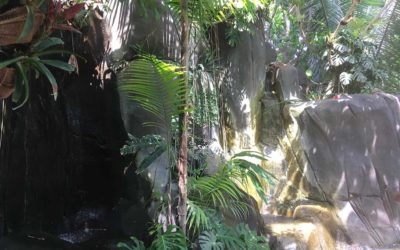 Vivariums en béton sculpté – PARC ZOOLOGIQUE DE PARIS